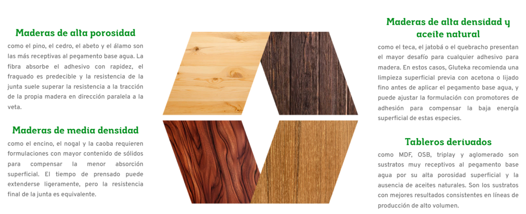 Pegamento para madera Gluteka compatible con distintos tipos de madera y densidades